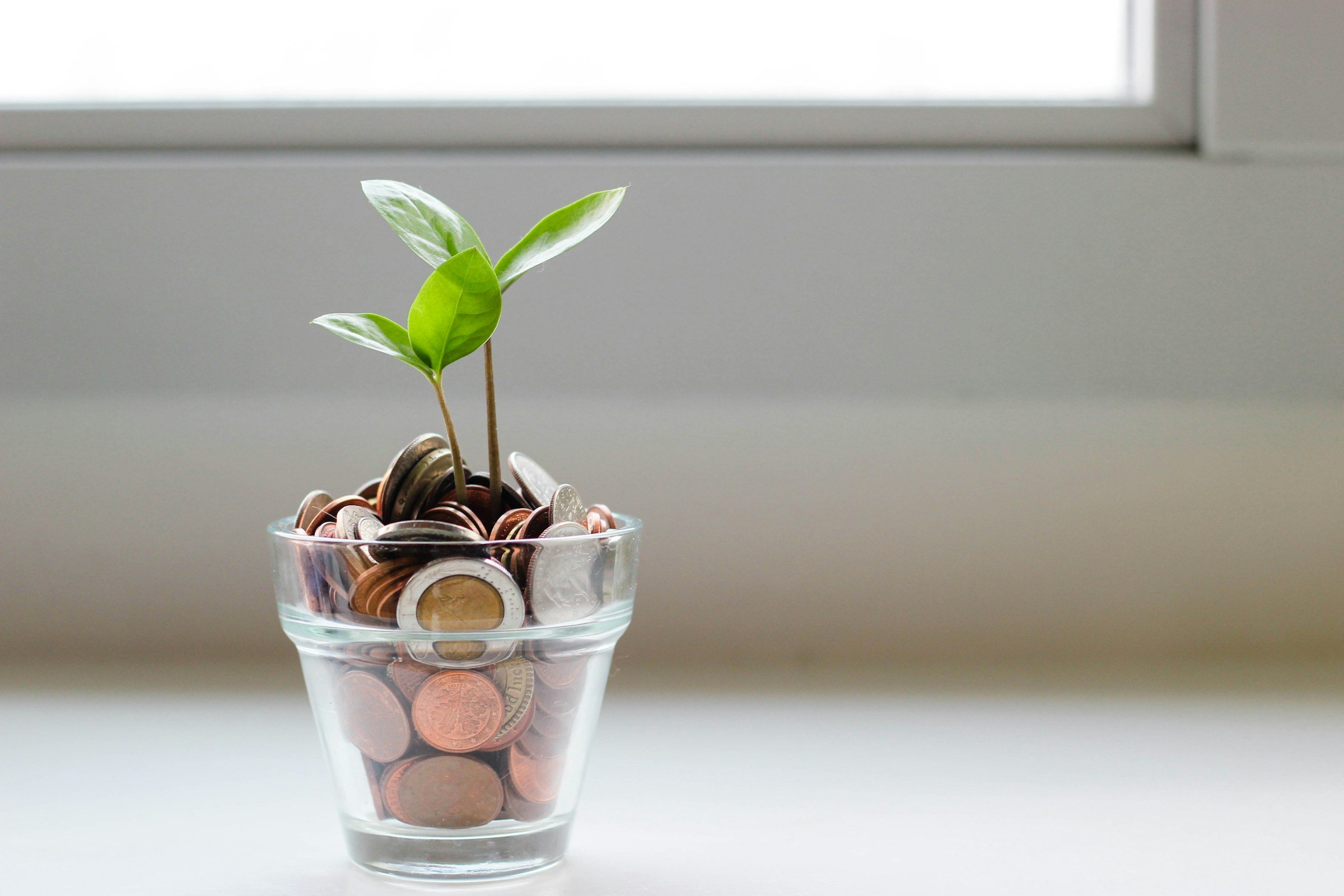 The impact of poverty on the future of young women: challenges and solutions from Wealthy Minds