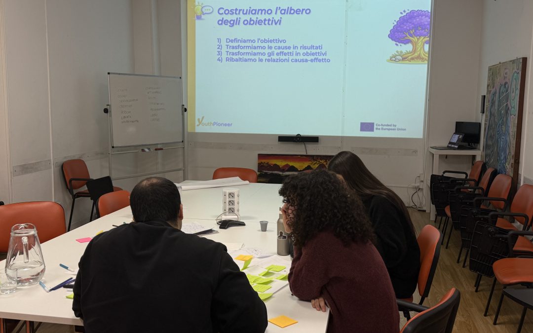 Building the skills of young NEETs: the YouthPioneer training programme